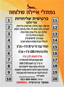 כרטיסיית השרון
